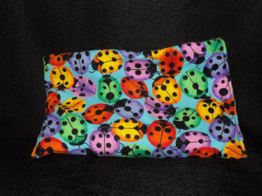 Colorful Lady Bugs